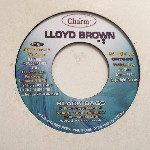 Lloyd Brown Black Bags