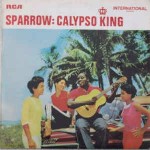Sparrow Calypso King