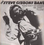 Steve Gibbons Band Please Don't Say Goodbye