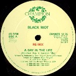 Black Riot A Day In The Life (Re-Mix)