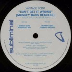 Vantage Point Can't Get It Wrong (Monkey Bars Mixes)