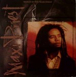 Maxi Priest Woman In You