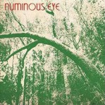 Numinous Eye Live / Studio