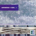 Various Experience In Kool. -1
