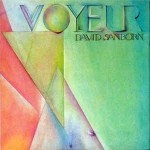 David Sanborn Voyeur