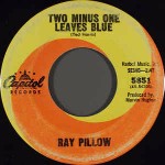 Ray Pillow Two Minus One Leaves Blue