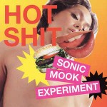 Various Sonic Mook Experiment 3: Hot Shit