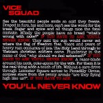 Vice Squad You'll Never Know