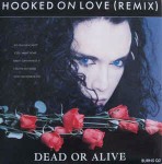 Dead Or Alive Hooked On Love (Remix)