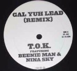 T.O.K. feat Beenie Man & Nina Sky Gal Yuh Lead (Remix)