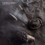 Kahn & Neek / Various Fabriclive 90