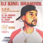 DJ King Shameek D.R.S. (Different Rap Species)