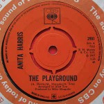 Anita Harris The Playground