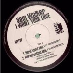 Sam Walker I Want Your Love