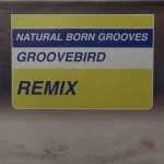 Natural Born Grooves Groovebird (Remix)