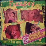 We've Got A Fuzzbox And We're Gonna Use It Love Is The Slug