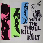 My Life With The Thrill Kill Kult My Life With The Thrill Kill Kult