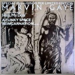 Marvin Gaye A Funky Space Reincarnation