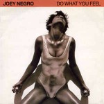 Joey Negro Do What You Feel