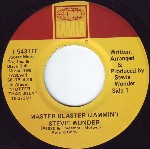 Stevie Wonder Master Blaster !
