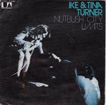 Ike & Tina Turner Nutbush City Limits