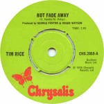 Tim Rice Not Fade Away