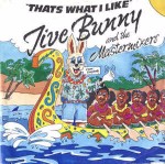 Jive Bunny And The Mastermixers That's What I Like