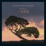 Triffids  Wide Open Road (The Best Of The Triffids)