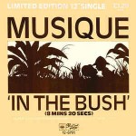 Musique  In The Bush
