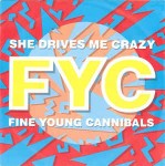 Fine Young Cannibals  She Drives Me Crazy