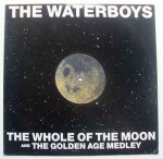 Waterboys  The Whole Of The Moon