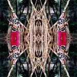 Vitamin B12  Laleh Ladan Gatefold Set