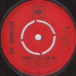 Tremeloes  Suddenly You Love Me