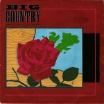 Big Country  Where The Rose Is Sown