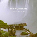 Springintgut  Where We Need No Map