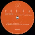 Deep Zone  It's Gonna Be Alright