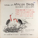 No Artist  Voices Of African Birds