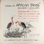 No Artist  Voices Of African Birds