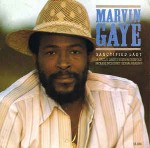 Marvin Gaye  Sanctified Lady