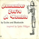 Eccles And Bluebottle Remember You're A Womble
