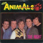 Animals  The Night