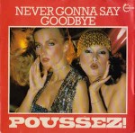 Poussez!  Never Gonna Say Goodbye