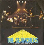 Searchers  I Don't Want To Be The One