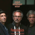 Michael Rodach  Burkhard Schlothauer / Andreas Wei Fuzzylogics