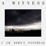 A Witness  I Am John's Pancreas