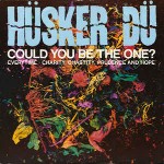 Hsker D  Could You Be The One?