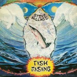 Steve Hillage  Fish Rising
