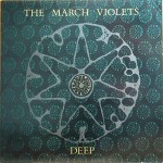March Violets  Deep