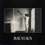 Bauhaus  In The Flat Field