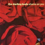 Darling Buds  Shame On You